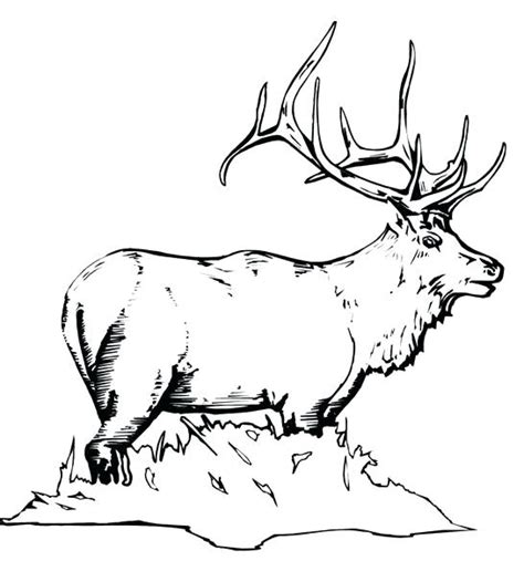 Yellowstone _____ is the largest body of water in yellowstone national park. Yellowstone National Park Coloring Pages at GetColorings ...