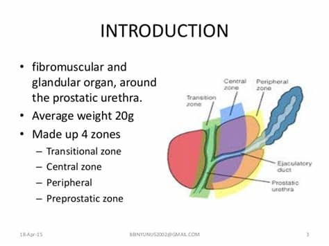 Discuss treatment option in bph and their basis
