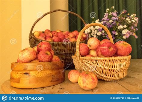 Photo With Apples In Baskets Apple Basket Group Autumn Stock Photo