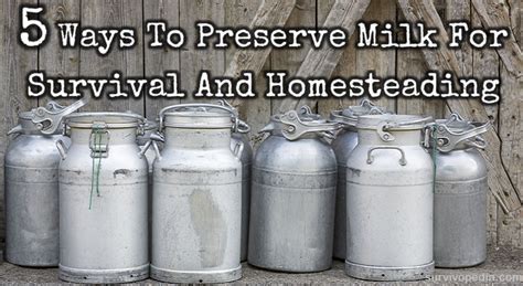 Feb 27, 2017 · in general, perishable foods like milk should not sit out of the refrigerator or cooler for longer than two hours. 5 Ways To Preserve Milk For Survival And Homesteading ...