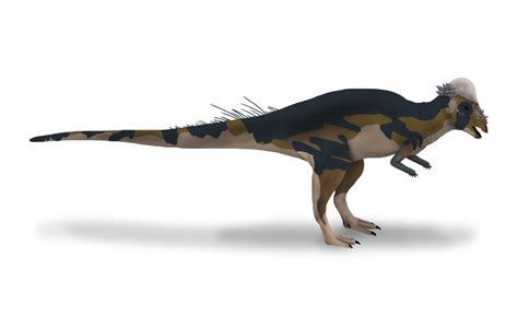 Pachycephalosaurus Wyomingensis By Yellowpanda2001 On Deviantart