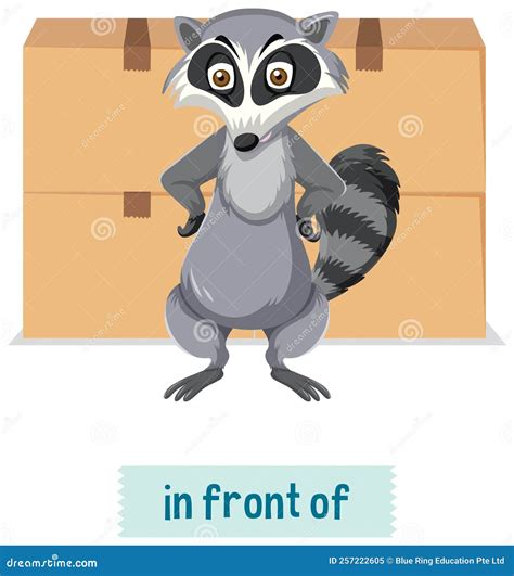 The Unexpected Animal In Hawaii: Raccoons?