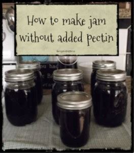 Can you make jam without pectin? How To Make Strawberry Freeze Jam - Homestead & Survival