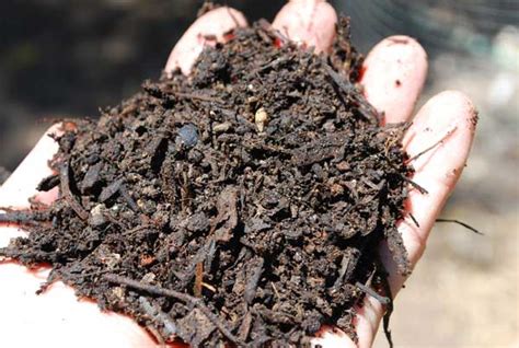 Maybe you would like to learn more about one of these? Improving Garden Soil