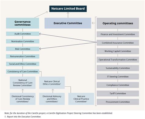 Board Committees