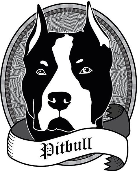 Royalty Free Pitbull Clip Art Vector Images And Illustrations Istock
