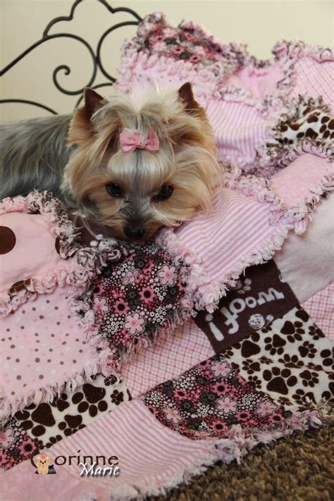 Doggie Scrappy Blanket Pink And Brown Woof Yorkie Puppy Yorkie Dogs