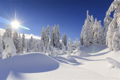 Fondos De Invierno Con Paisajes Nevados Winter Wallpapers