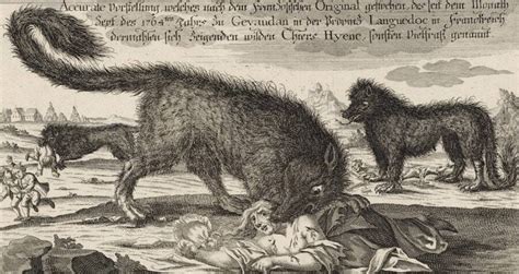 How The Beast Of Gévaudan Terrorized 18th Century France