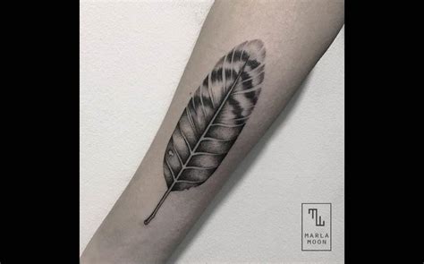La plume de paon a toujours été un symbole de beauté et de luxe. Tatouage plume : tout ce qu'il faut savoir - TattooMe - Le ...