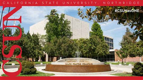 Zoom Backgrounds California State University Northridge