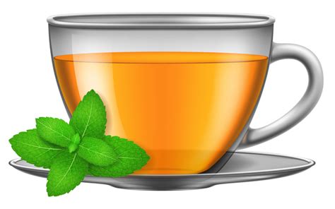 Download Tea mint with glass cup vector - Vector Food free download