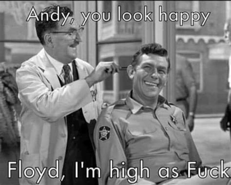 Pin By Pat On Funny The Andy Griffith Show Andy Griffith Tv Icon
