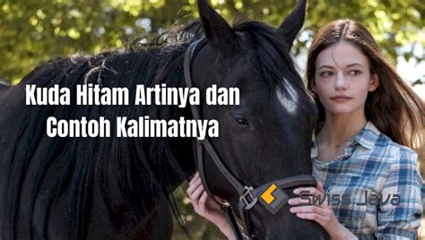ungkapan kuda hitam artinya - Jack Carr