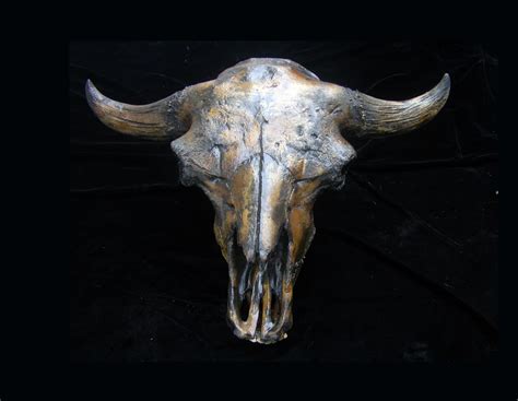 Bison Antiquus Skull Replica Skeletons And Skulls Superstore