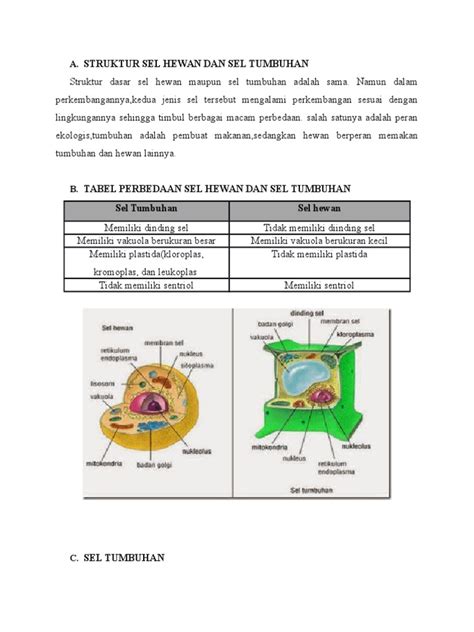 We did not find results for: Perbedaan Struktur Sel Tumbuhan Dan Hewan - Berbagai Struktur