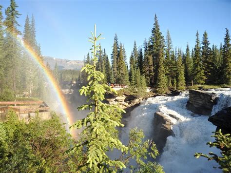 Rainbow Over Athabasca Falls Jasper National Park Alberta Canada