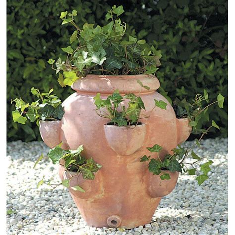 Terra Cotta Round Fishbowl Tascandi Strawberry Jar Planter Set Of 2