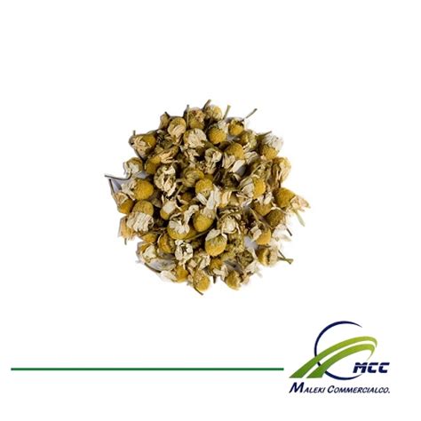 En ce début de semaine, une pensée toute particulière aux mamans et papas dont les nuits sont raccourcies ! German Chamomile export | German Chamomile plant