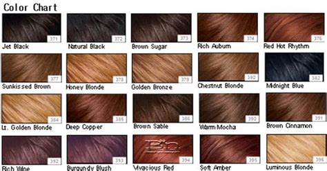 Chestnut Brown Hair Color | warm mocha :) | Hair and Makeup | Pinterest