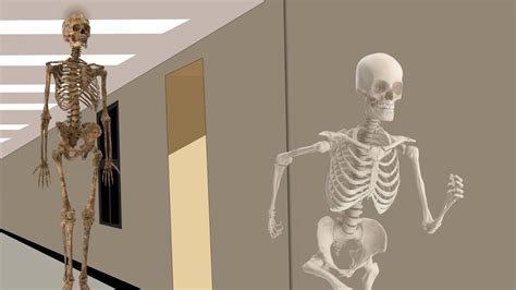 Download Running Away Skeleton Meme Wallpaper