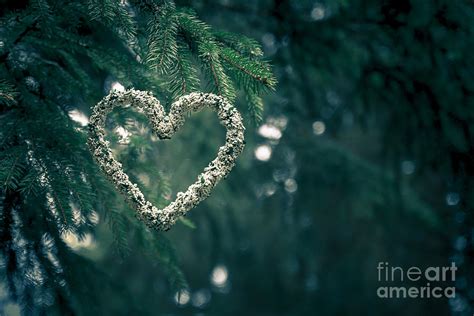 Valentines Day In Nature Photograph By Andreas Levi