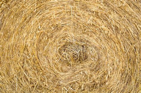 Agriculture Farming Straw Roll Background Texture Stock Image Image