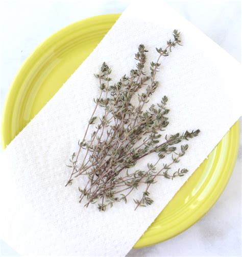 How To Dry Thyme Leaves In 2 Minutes It Works