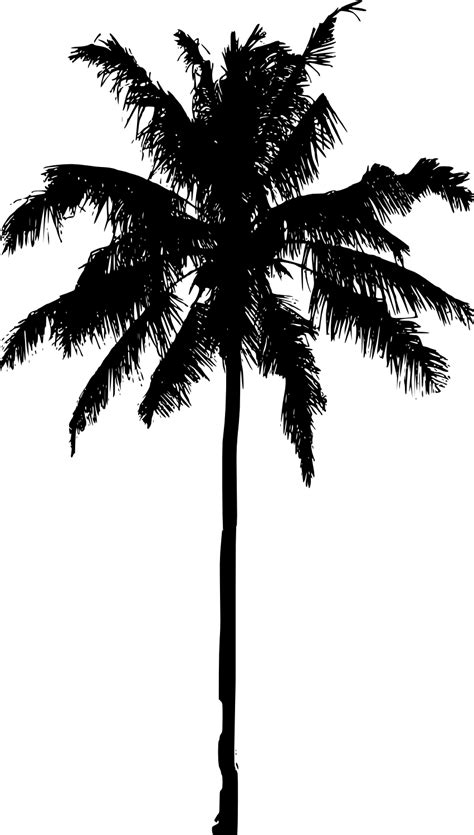 Silueta Palmeras Png Silhouette Of A Palm Tree Transparent Png