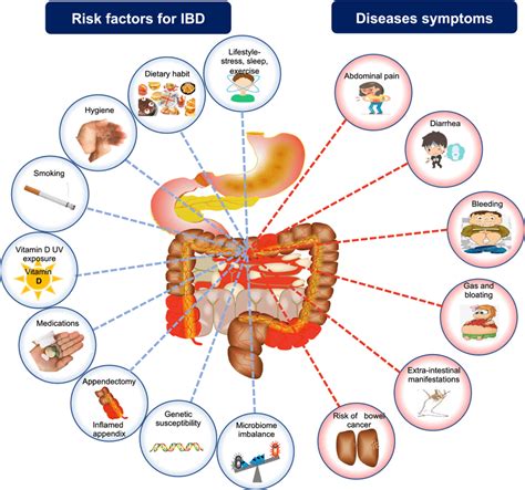 The Multifaceted Triggering Factors For Ibd And Major Disease Symptoms Download Scientific