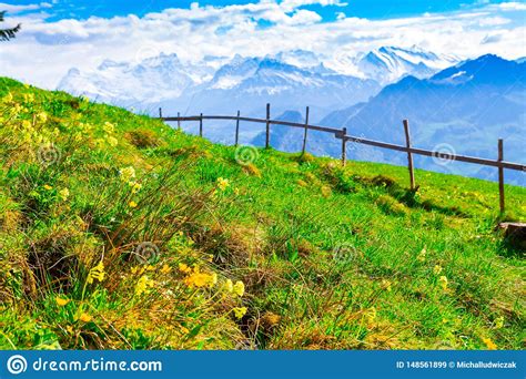Green Rural Meadow And Moutains In Swiss Alps Stock Image Image Of
