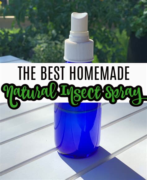 Diy All Natural Bug Be Gone And Insect Spray Recipe