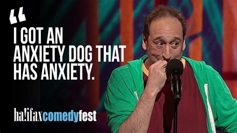 When Your Therapy Dog Has Anxiety Jeremy Hotz Youtube