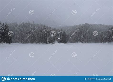 View Of The Frozen Lake Synevyr Stock Photo Image Of Childrens