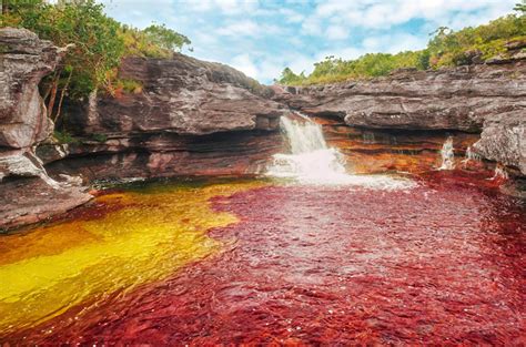 Do not miss this opportunity to visit the river of 5 colours. Caño Cristales | GuiaPlanet