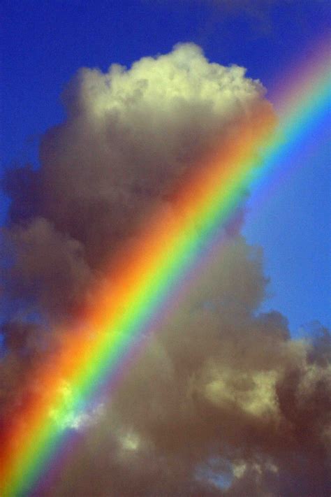 Rainbows Spectrum Rainbow Sky Rainbow Over The Rainbow