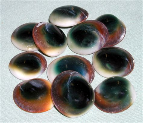 These are general symbolical interpretations, worth of. Cat's Eye Shells: spn_symbols — LiveJournal