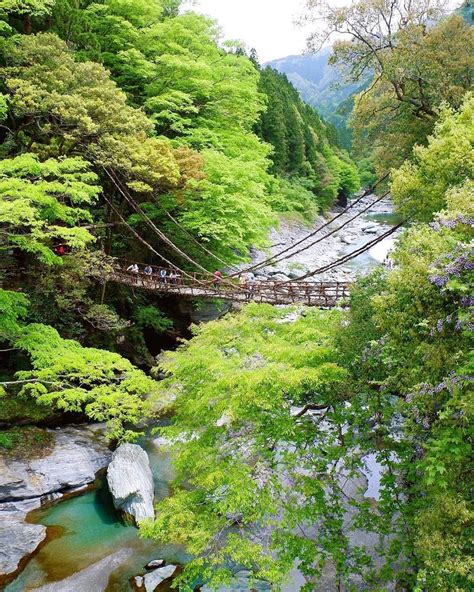 Would You Cross One Of The Iconic Vine Bridges Of Iya Valley 🇯🇵