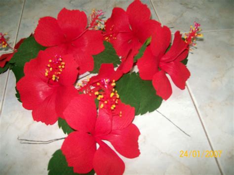 Суббота, 16 марта 2013 г. Tinas Creations: Paper Hibiscus/ Shoe flower