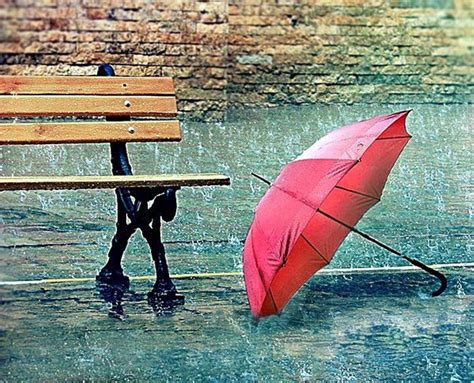 🔥 Free Download Rainy Days And Umbrella 1680x1360px 1680x1360 For Your Desktop Mobile