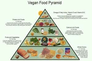 We would like to show you a description here but the site won't allow us. Vegan Food Pyramid Healthy Eating Meal and Diet Plan 13 x ...