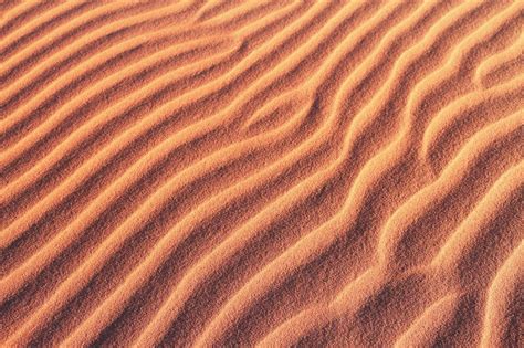 Maybe you would like to learn more about one of these? Sand Texture Free Stock Photo - ShotStash