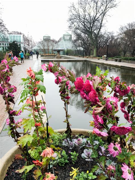 Brooklyn botanical garden contains a treasure of over 12000 varieties of plants from around the world in its beautiful gardens. Escape From New York: A Sizzlin' Winter Tour of Brooklyn ...