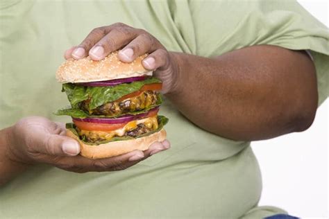 🍔 10 Cara Diet Atkins Yang Berkesan Mesti Ikut Fasa 1 2 3 4