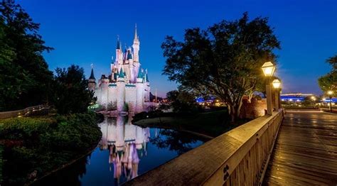 Breaking Walt Disney World Will Begin Presenting Reopening Plans And