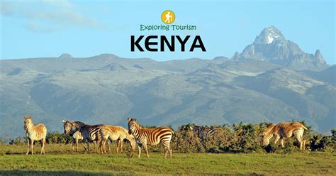Kenya Tourism Beach Tours Kenya Wildlife Safaris Tours Kenya Tours