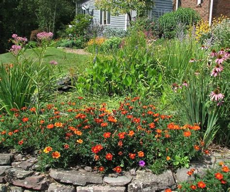 15 Easy Butterfly Garden Ideas And Butterfly Garden Guide