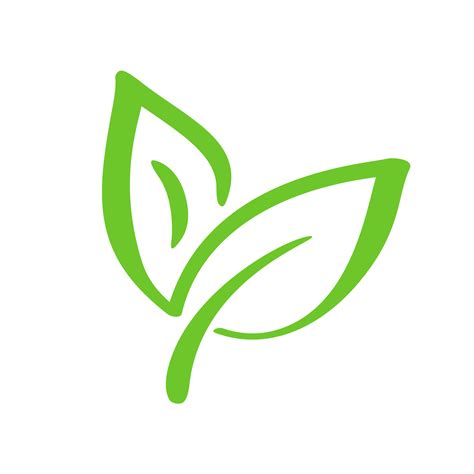 Logo Of Green Leaf Of Tea Ecology Nature Element Vector Icon Eco