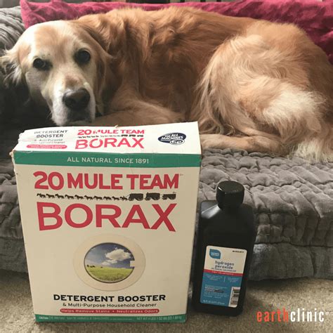 Teds Borax And Peroxide Mange Treatment For Dogs