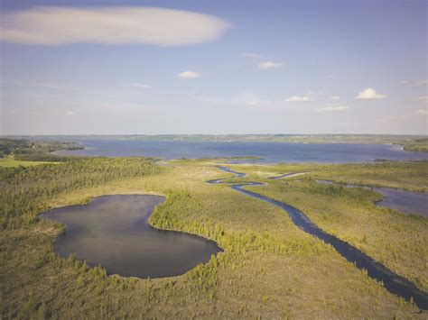 Cedar River Preserve Grows To 548 Acres The Leelanau Conservancy